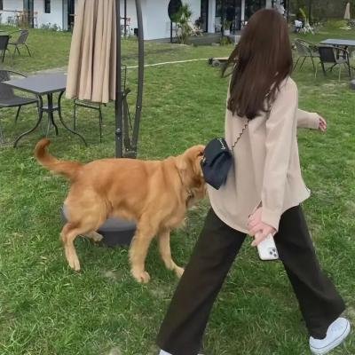 赤子情未了